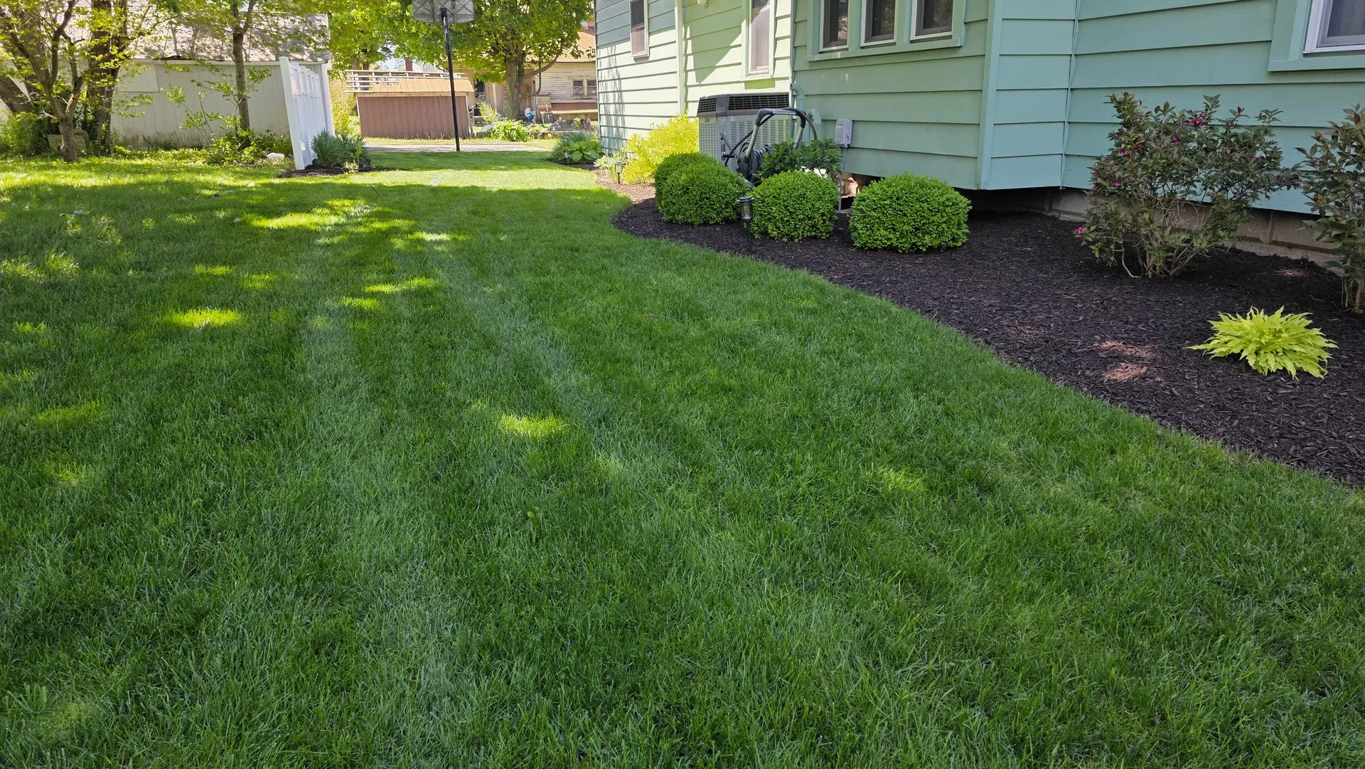 A lawn running along the house siding into a foundation mulch bed.