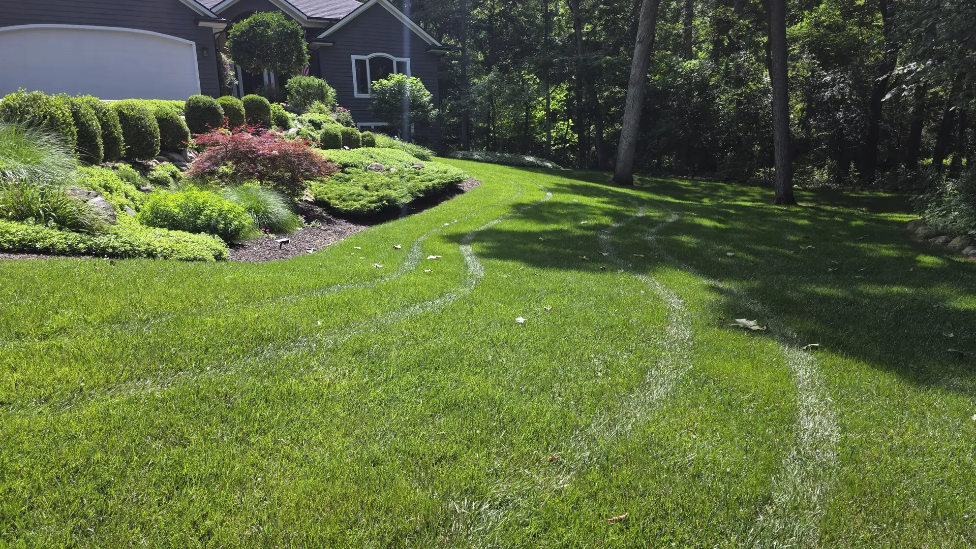 A mowed lawn and mulch bed meeting a dense wooded edge behind a house.