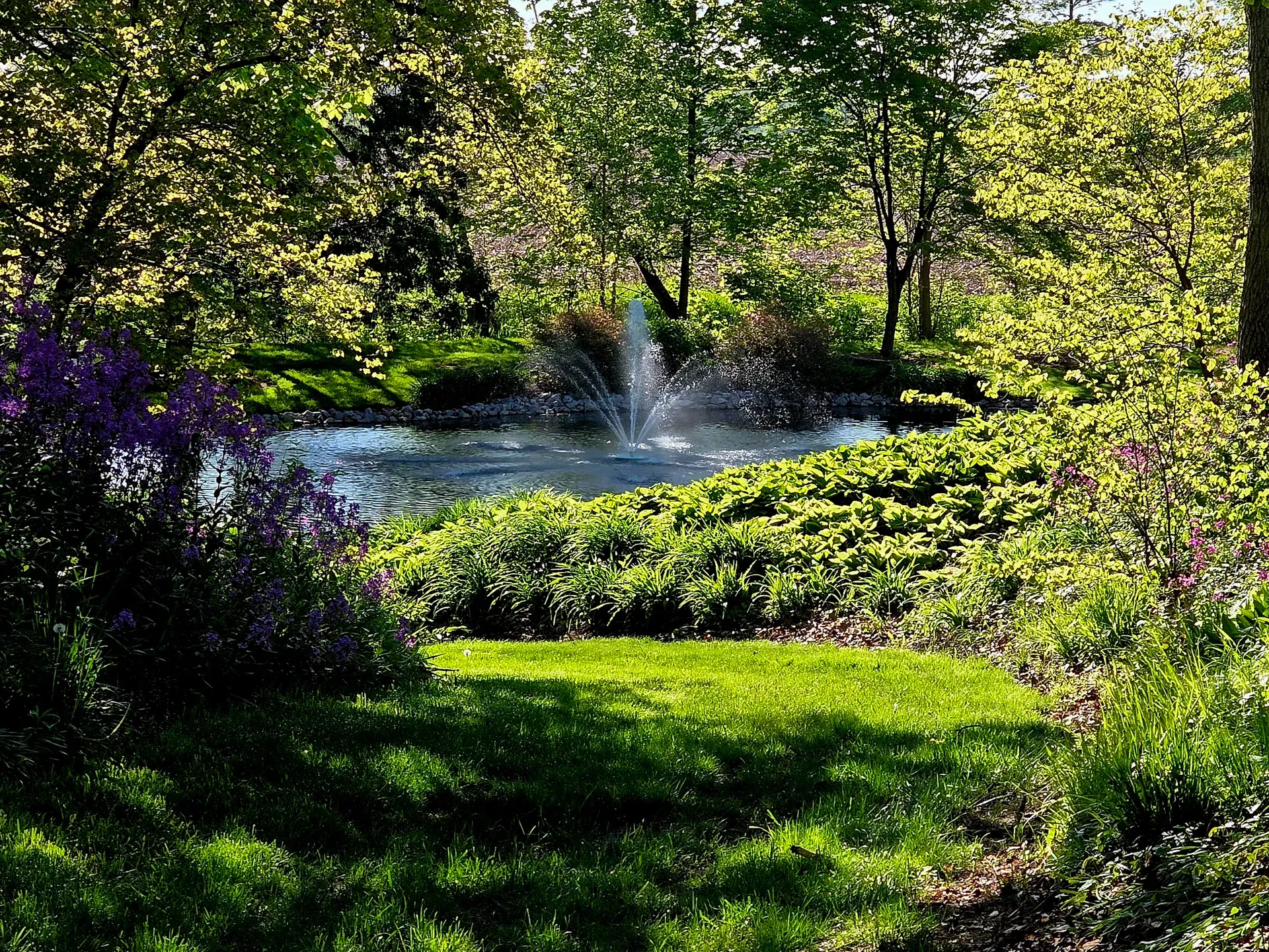 Mowed lawn and shaded landscape beds around a neighborhood pond with a fountain