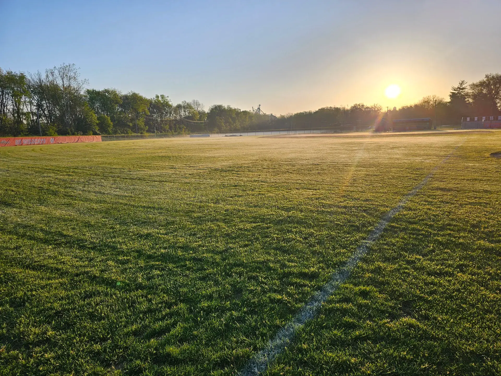 Dense cool-season turf on an open field at sunrise
